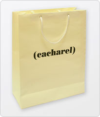 Изготовление и печать бумажных пакетов с логотипом